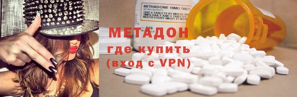 хмурый Аркадак
