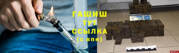 хмурый Аркадак