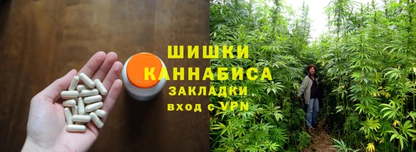 хмурый Аркадак