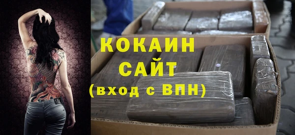 хмурый Аркадак