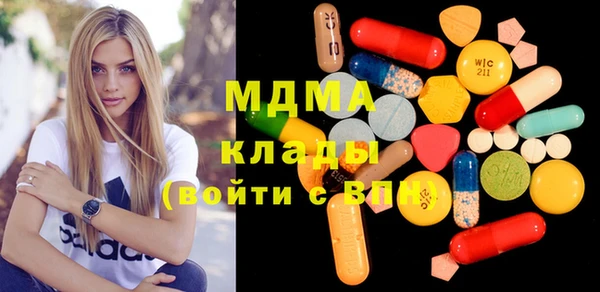 хмурый Аркадак