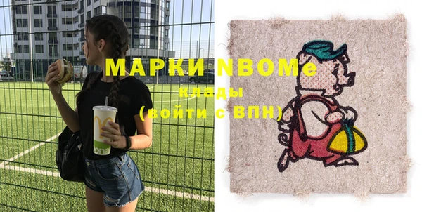 хмурый Аркадак