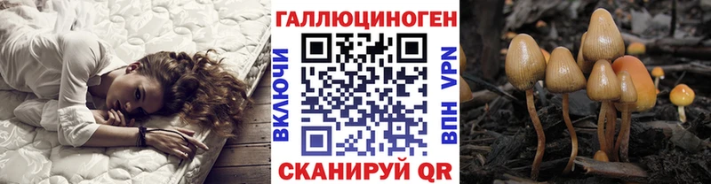 продажа наркотиков  нарко площадка телеграм  Галлюциногенные грибы Cubensis  Козьмодемьянск 